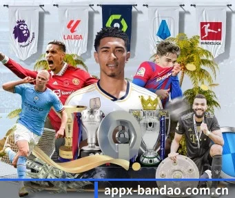 半岛体育网页版 APP（Bandao）